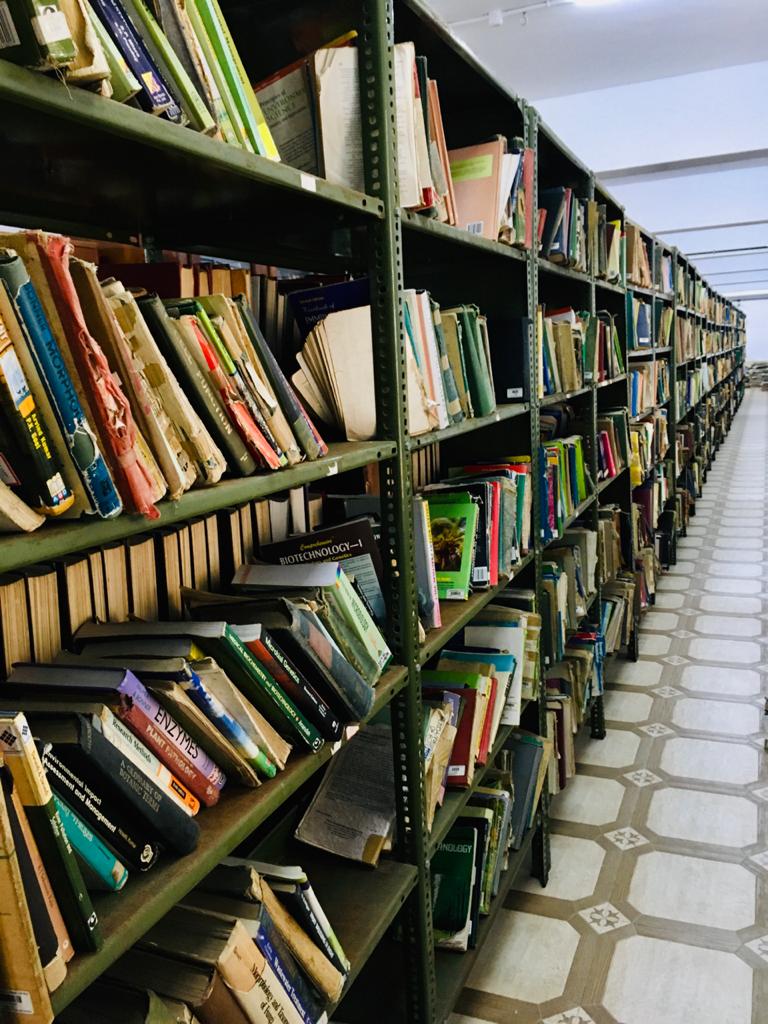 CollegeBee - Our Mission